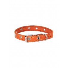 Ошейник для собаки, кожаный, усиленный для собак малых пород, ширина 15 мм, длина 38 см, цвет Оранжевый