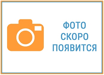 Наушники защитные Импакт спорт Ховард лайт ханивелл (Impact sport Howard Leight Honeywell )HL-Y